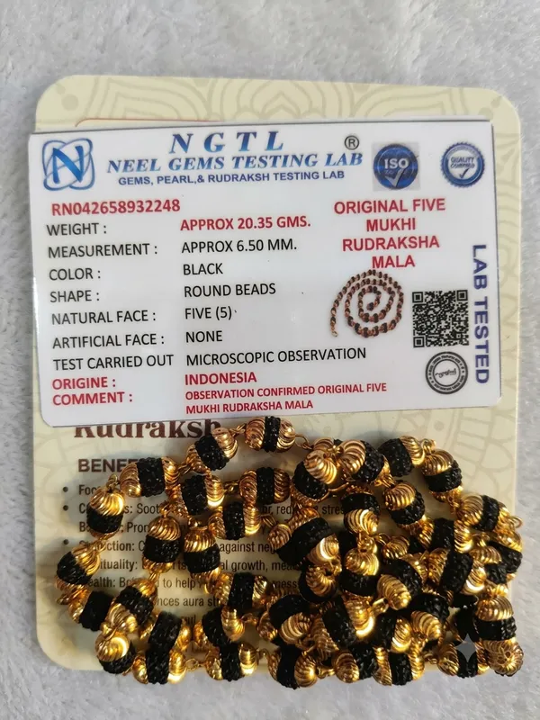 Black_Gold_Brass_5_Mukhi_Rudraksha_54_Bead_Mala_For_Unisex