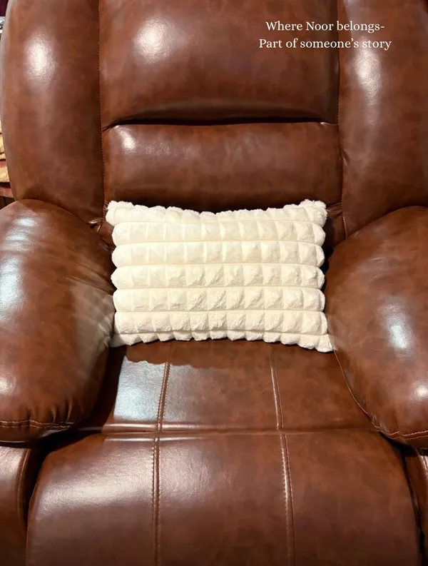 Faux_Fur_Serene_Solid_Cushion_Cover_White