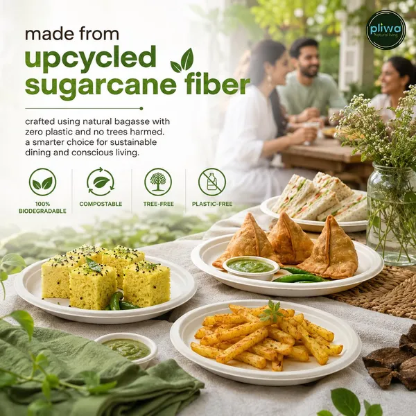 Pliwa_Disposable_Bagasse_Plates_|_10_inch_-_Pack_of_25_|_Non_Toxic,_Compostable_|_Sturdy,_Microwave_Safe,_Leak-Resistant_|_Sugarcane_Bagasse_Eco-Friendly_Round_Plates_(White)