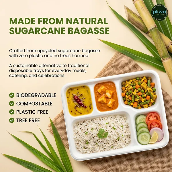 Pliwa_Disposable_Bagasse_Meals_Tray_|_5_Compartment_|_Pack_of_25_|_Non_Toxic,_Compostable_|_Sturdy,_Microwave_Safe,_Leak-Resistant_|_Sugarcane_Bagasse_Eco-Friendly_Square_Plates_(White)