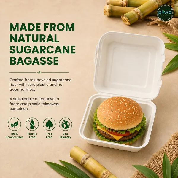 Pliwa_|_Disposable_Clamshell_|_Burger_Box_|_9x9_-_Pack_of_25_|_for_Takeaway_&_Food_Storage_|_Non_Toxic,_Compostable_|_Sturdy,_Microwave_Safe,_Leak-Resistant_|_Eco-Friendly_Square_Clamshell_(White)
