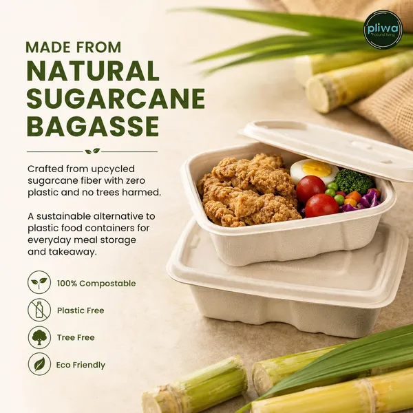 Pliwa_|_Disposable_Square_Container_with_Lid_|_500_ml_-_Pack_of_25_|_for_Takeaway_&_Food_Storage_|_Sturdy,_Microwave_Safe,_Leak-Resistant_|_Sugarcane_Bagasse_Eco-Friendly_Square_Container_(B.White)