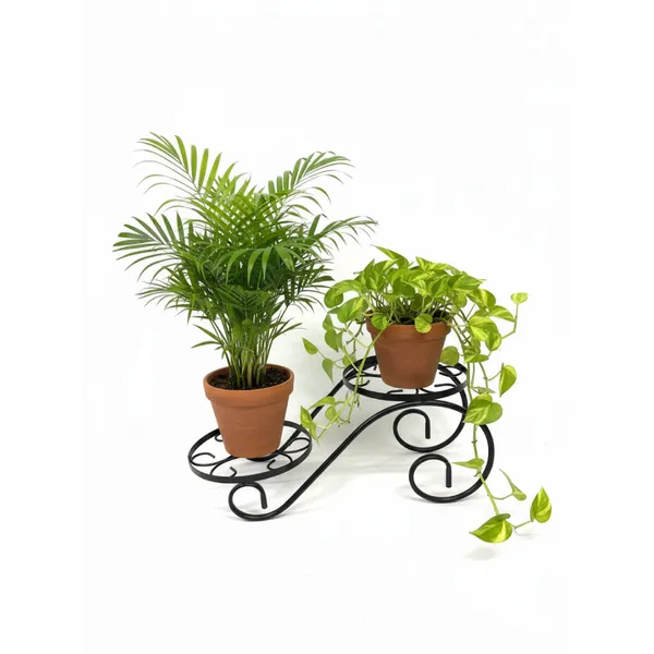 Decorative_Twin_Plant_Stand_Set_Of_2