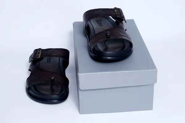 Leegrain_Latest_Brown_slipper_for_mens_