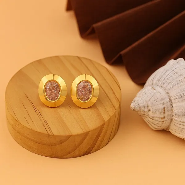 Gold_Tone_Round_Brown_Centre_Stud_Earrings_For_Women