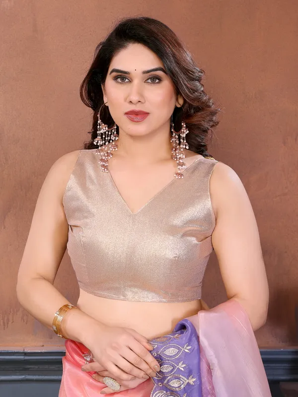 Gold_Crush_Silk_Saree_with_Padded_Embroidery_Work_&_Embroidered_Border