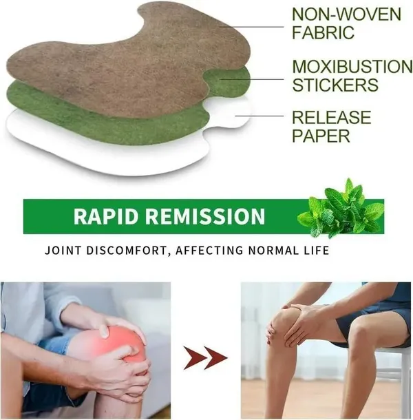 Gosince_Herbal_Joint_Relief_Patches_|_Flexible_&_Easy_to_Use_|_Knee,_Shoulder,_Back_Pain_Plaster_&_Patch_(10_Patches)
