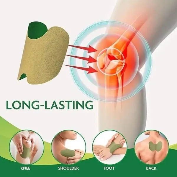 Gosince_Herbal_Joint_Relief_Patches_|_Flexible_&_Easy_to_Use_|_Knee,_Shoulder,_Back_Pain_Plaster_&_Patch_(10_Patches)