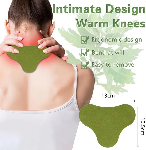 Gosince_Ayurvedic_Pain_Relief_Heating_Patch_for_Joint,_Neck_&_Back_|_Reusable_Warm_Patch_Plaster_&_Patch_(100_g)