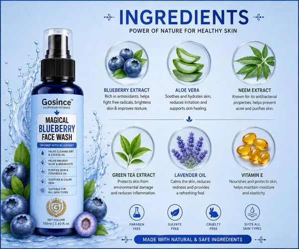 Gosince_Blueberry_Glow__|_Removes_Dirt_&_Excess_Oil_Face_Wash_(400_ml)