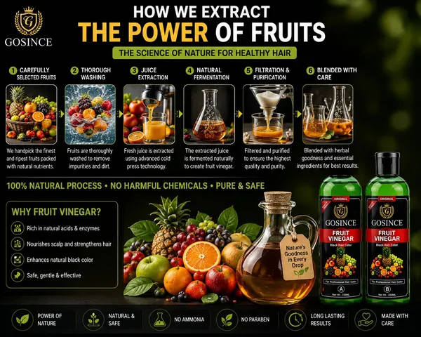 Gosince_Fruit_Vinegar_Black_Hair_Color,_Nourishing_Hair_Care,_Smooth_Hair_Care_,_BLACK_()