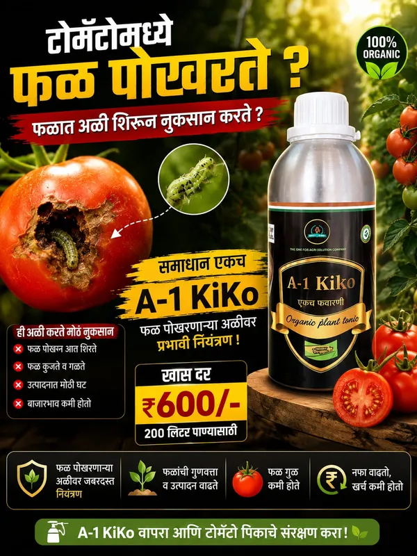 A-1_Kilo