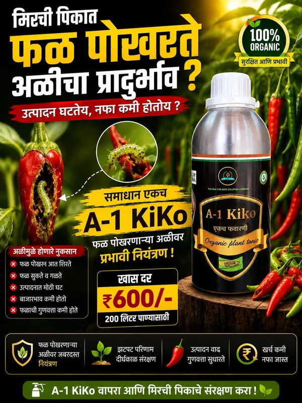 A-1_Kilo
