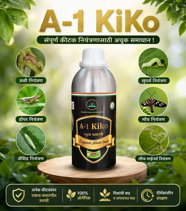 A-1_Kilo