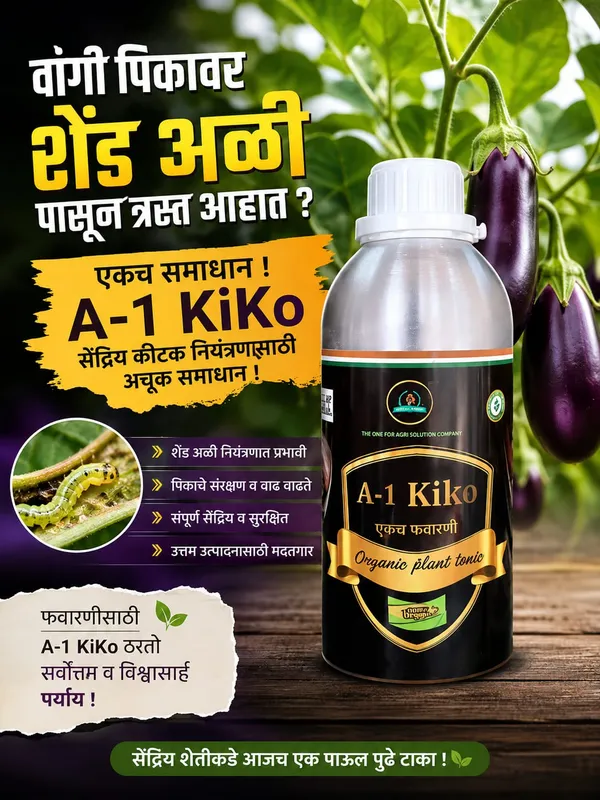 A-1_Kilo