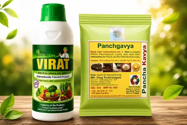 Virat_+_LOM_C_Strong_Panchgavya_(Combo)