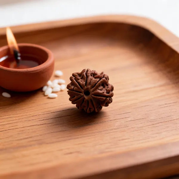 Natural_Nepal_10_Mukhi_Rudraksha_Bead_For_Spiritual_Use