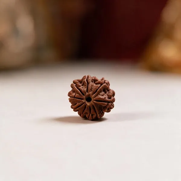 Natural_Nepal_10_Mukhi_Rudraksha_Bead_For_Spiritual_Use