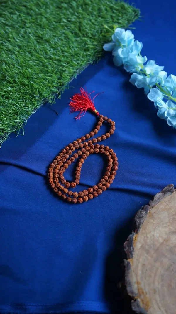 Brown_Rudraksha_109_Bead_8Mm_Spiritual_Mala_For_Unisex