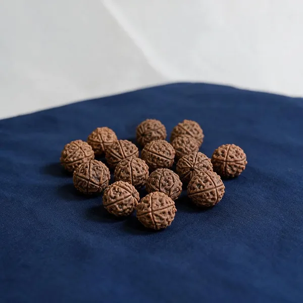 Brown_Rudraksha_Spiritual_Beads