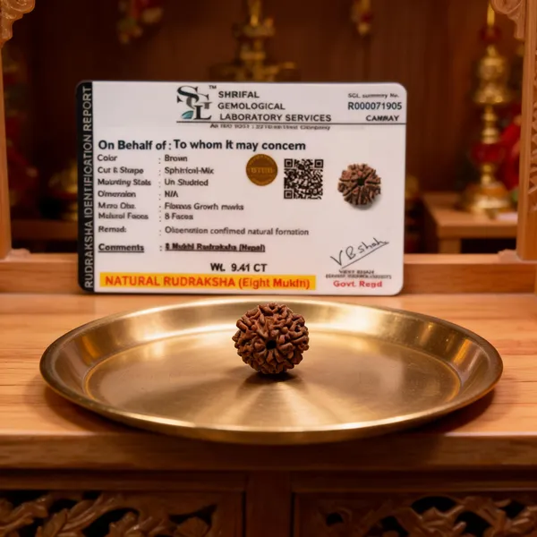 Natural_Brown_8_Mukhi_Rudraksha_Bead_With_Certificate
