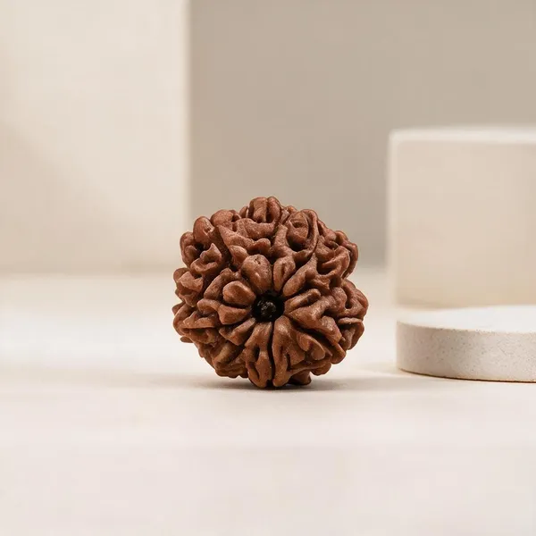 Natural_9_Mukhi_Rudraksha_Bead