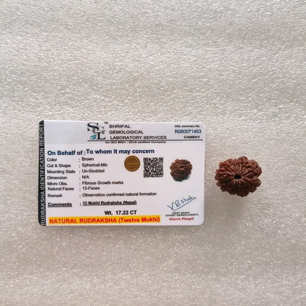 Natural_Brown_12_Mukhi_Rudraksha_Bead