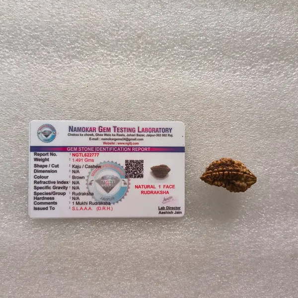 Natural_1_Mukhi_Rudraksha_Bead