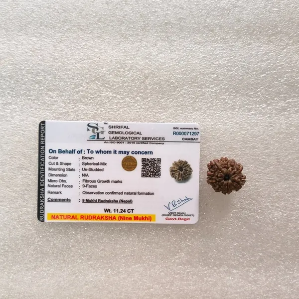 Natural_9_Mukhi_Rudraksha_Bead