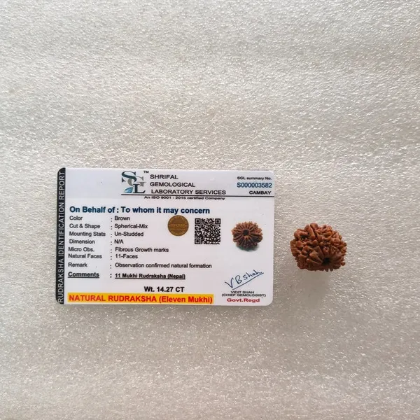 Natural_Brown_11_Mukhi_Rudraksha_Bead