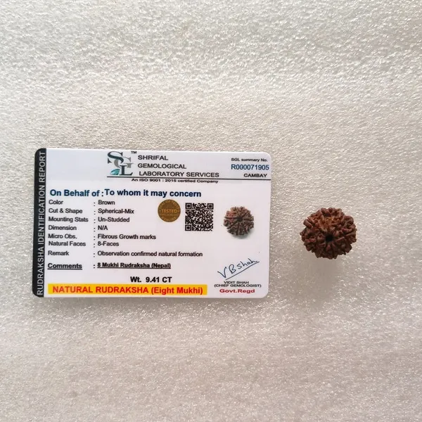 Natural_Brown_8_Mukhi_Rudraksha_Bead_With_Certificate
