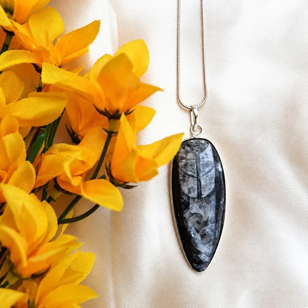 Kuber_Stone_Orthoceras_Wealth,_Stability_&_Prosperity_Pendant