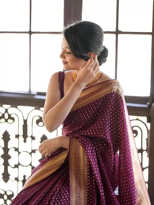 Maroon_Cotton_Silk_Floral_Print_Banarasi_Saree_For_Women