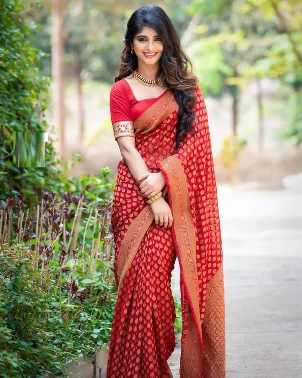 Red_Cotton_Silk_Woven_Banarasi_Saree_For_Women_(Pack_Of_8)