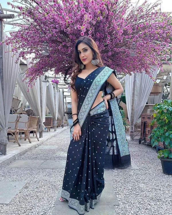 Black_Cotton_Silk_Temple_Border_Woven_Banarasi_Saree_For_Women