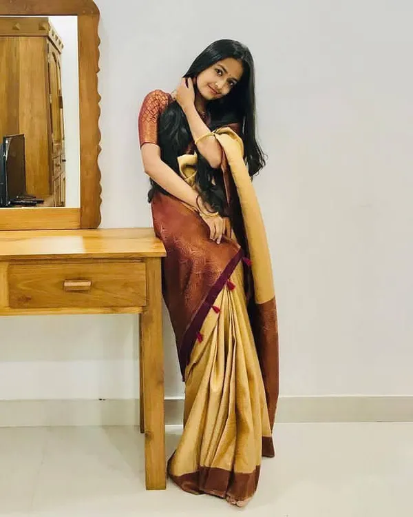 Maroon_Cotton_Silk_Plain_Woven_Banarasi_Saree_For_Women