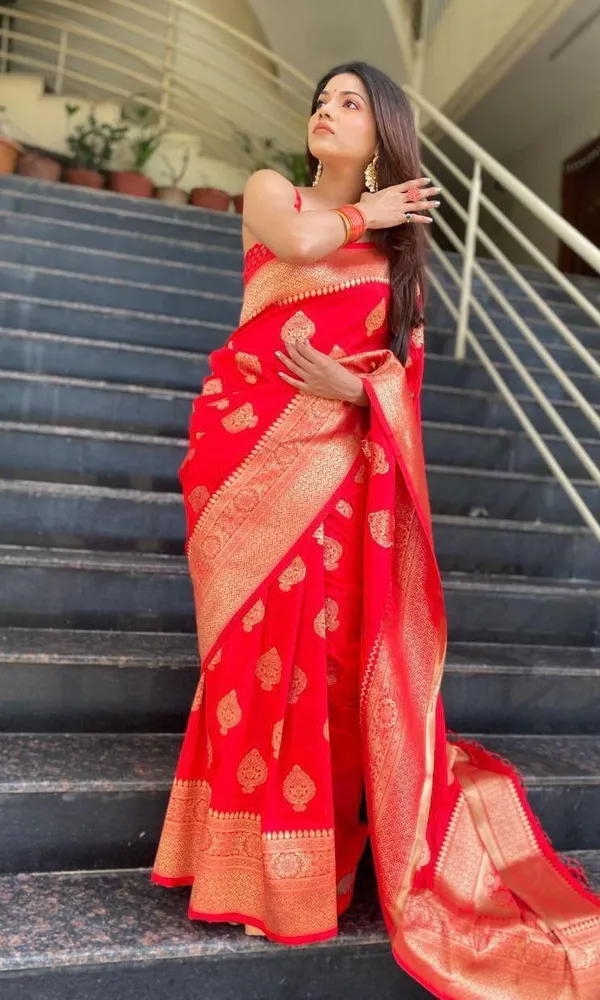 Red_Cotton_Silk_Jacquard_Woven_Banarasi_Saree_For_Women
