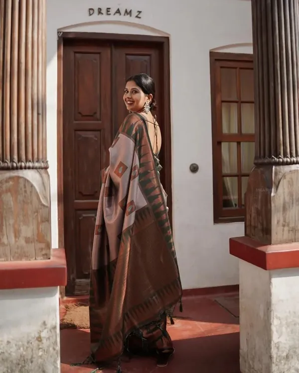 Multicolor_Cotton_Silk_Geometric_Print_Regular_Saree_For_Women