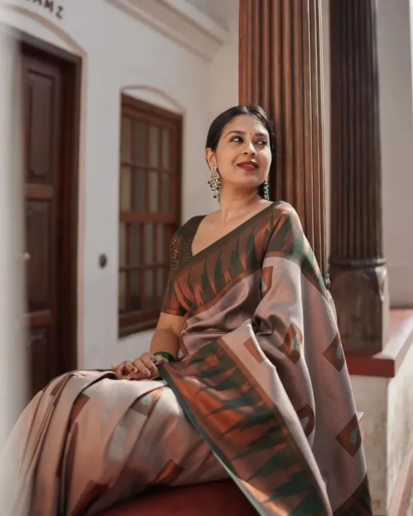 Multicolor_Cotton_Silk_Geometric_Print_Regular_Saree_For_Women