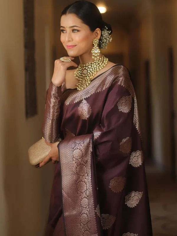 Maroon_Cotton_Silk_Floral_Print_Banarasi_Saree_For_Women