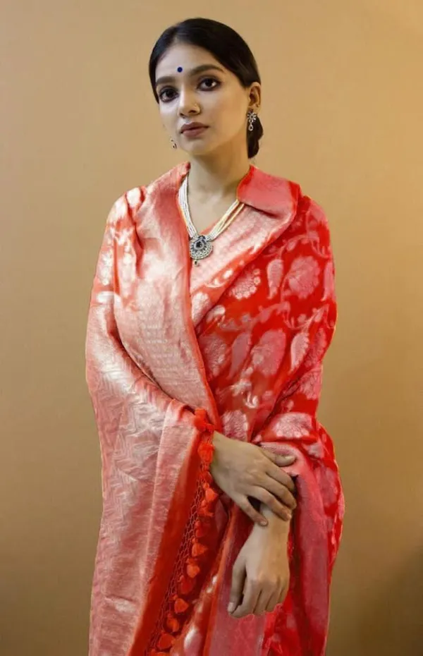 Red_Cotton_Silk_Floral_Print_Banarasi_Saree_For_Women