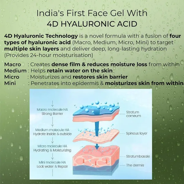 Raissa_4D_Hyaluronic_Acid_Aloe_Vera_Gel_|_Pure_Aloe_Vera_with_Niacinamide_&_D-Panthenol_|_For_Face,_Hair_&_Body_|_Gel_Moisturizer_for_Deep_Hydration_&_Skin_Plumping_|_100g_|_Unisex
