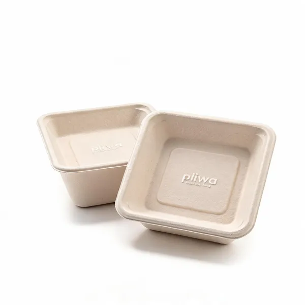 Pliwa_Disposable_Bowl_|_Dona_|_4_X_4_|_Non_Toxic,_Compostable_|_Sturdy,_Microwave_Safe,_Leak-Resistant_|_Sugarcane_Bagasse_Eco-Friendly_Square_Bowl_(White)_-_Pack_Of_2