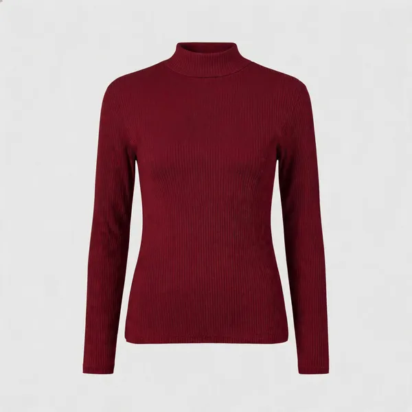 Maroon_Rib_Full_Sleeve_High_Neck_Top_For_Women