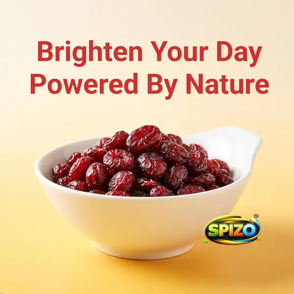 Spizo_Premium_Dried_Cranberries_Sweet_Tangy_Cranberries_Healthy_Dried_Fruit_Snack_Perfect_For_Oats_Muesli_Yogurt_Salads_Baking_Trail_Mix_Rich_Fruity_Flavor_Premium_Dry_Fruits_-_Pack_of_2