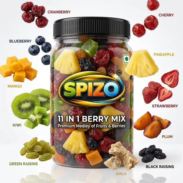 Spizo_11_In_1_Dry_Fruit_Berry_Mix_-_Pack_of_2