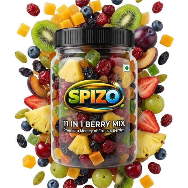 Spizo_11_In_1_Dry_Fruit_Berry_Mix_-_Pack_of_2