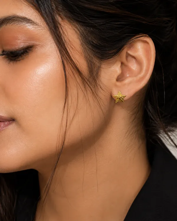 Star_Earrings