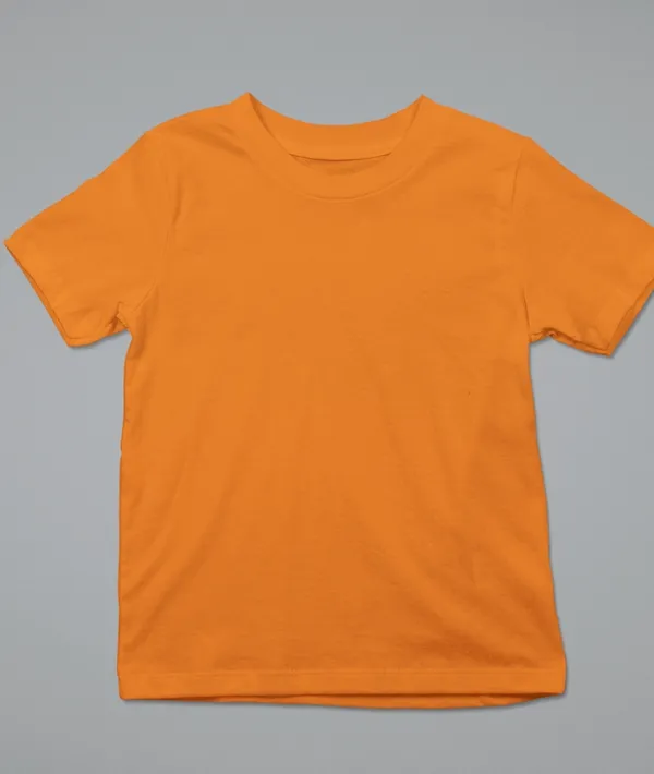 Orange_Cotton_Regular_Fit_T-Shirt_For_Kids