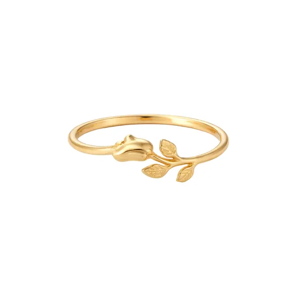 Golden_Arbor_Rose_Petal_Necklaces_Ring